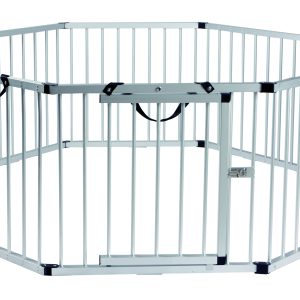 Hexagon Exercise Pen